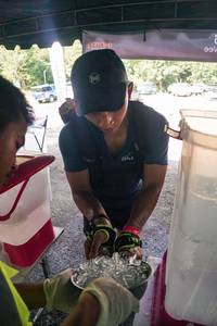 BIB: 
                            <button type="button" onclick="openModal(28159108)" class="btn btn-primary btn-sm float-right btn-popup" data-toggle="modal" data-target=".modal-high-quality">
                        <i class="fas fa-shopping-cart"></i> Add to Cart
                    </button>
                                            <button type="button" onclick="isThisMe(28159108, true)" class="btn btn-success btn-sm float-right btn-popup btn-isme hidden" data-toggle="tooltip" data-placement="bottom" title="นี่คือรูปของคุณใช่ไหม คลิกที่นี่เพื่อเอาเข้าอัลบั้ม">
                        <i class="fas fa-plus"></i> Add to album
                    </button>
                    <button type="button" onclick="isThisMe(28159108, false)" class="btn btn-warning btn-sm float-right btn-popup btn-isnotme hidden">
                        <i class="fas fa-ban"></i> Remove from album
                    </button>